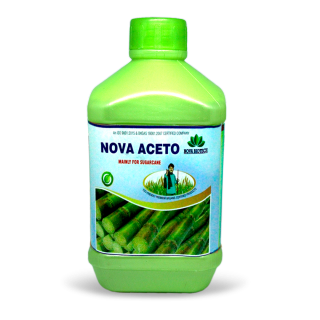 NOVA- AECTO 
