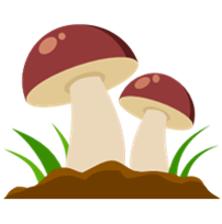 Bio-based Soil Conditioners